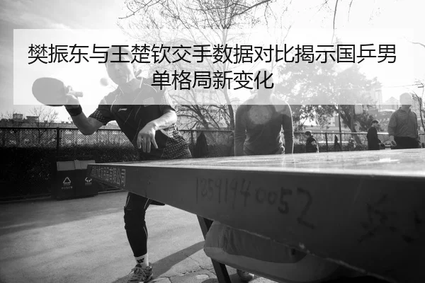 樊振东与王楚钦交手数据对比揭示国乒男单格局新变化